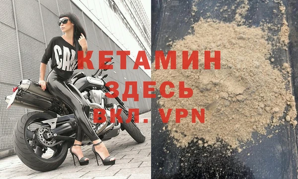 сатива Балахна