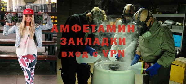 сатива Балахна